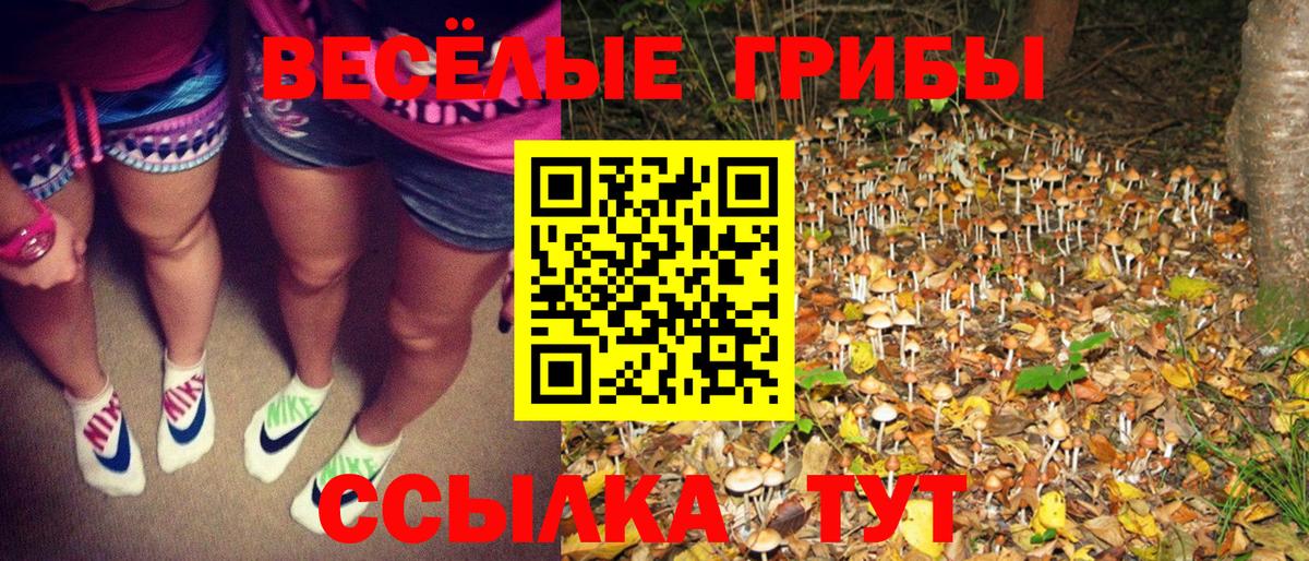 Псилоцибиновые грибы ЛСД Новозыбков