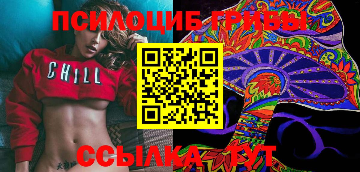 Псилоцибиновые грибы GOLDEN TEACHER  Вход с VPN  Новозыбков  Псилоцибиновые грибы Magic Shrooms 