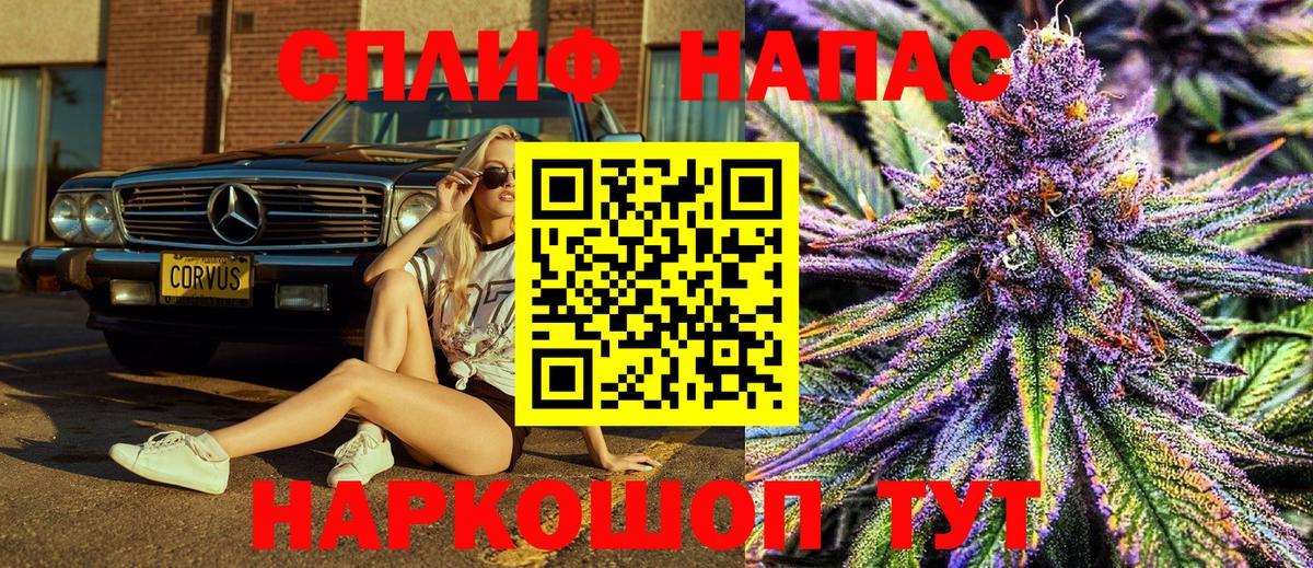 Марихуана семена Новозыбков